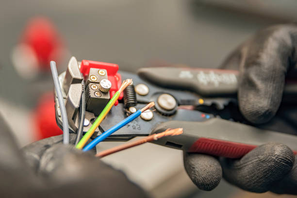 Best Electric Panel Repair  in Bradenton, FL
